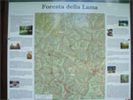 gal/2010/04 - Nel Parco delle foreste Casentinesi - 22 Maggio/04_lama_cancellino/_thb_1_carta_lama-01.jpg